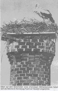 Der Klapperstorch